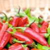 Chilli Seeds - Jalapeno