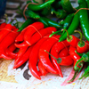 Chilli Tour and Tasting for Two