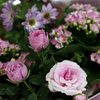 Christmas Bouquet - Pink