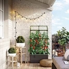 Cityjungle with Trellis / Cover