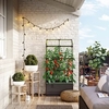 Cityjungle with Trellis