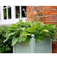 Classic Planter 15