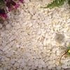 Classic White Chippings - Bulk