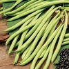 Climbing French Bean Seeds - Cobra