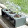 Cloches and Rack