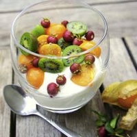 Cocktail Kiwi Plant