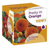 Colour Symphony Bulbs - Pretty in Orange