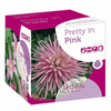 Colour Symphony Bulbs - Pretty in Pink