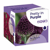 Colour Symphony Bulbs - Pretty in Purple