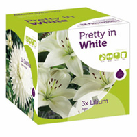 Colour Symphony Bulbs - Pretty in White