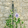 Container Maypole