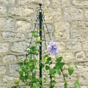 Container Maypole