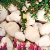 Coral White Pebbles - Bulk