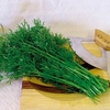 Coriander Seeds - Confetti
