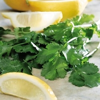 Coriander Seeds - Lemon