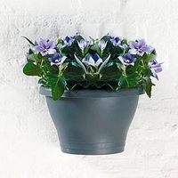 Corscia Wall Basket 25cm