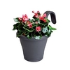Corsica Easy Hang Planter