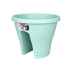 Corsica Flower Bridge 30cm - 1 Pot