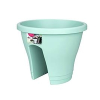 Corsica Flower Bridge 30cm - 1 Pot