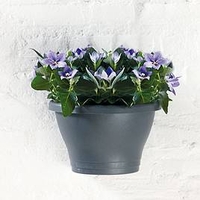 Corsica Wall Basket x 1
