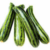 Courgette Plants - F1 Green Tiger