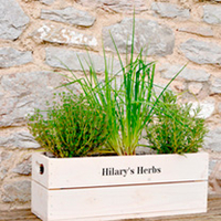 Crate 2 Slats - 53 x 18 x 19cm Natural