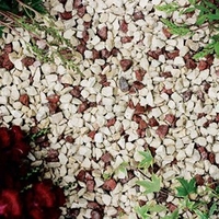 Crimson & Cream - Bulk