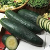 Cucumber (Organic) Seeds - Marketmore