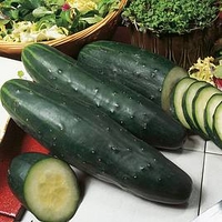 Cucumber (Organic) Seeds - Marketmore