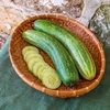 Cucumber Seeds - Chompers F1