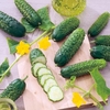 Cucumber Seeds - Dar