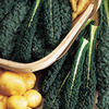 Cut-and-Come Again Winter Veg Collection