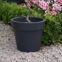 Dark Grey Planter - Top Planter 23cm
