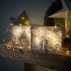 Decorative LED Canvas - Cow Parsley