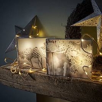 Decorative LED Canvas - Cow Parsley