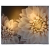 Decorative LED Canvas - Dahlia
