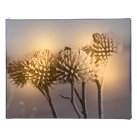 Decorative LED Canvas -Thistle