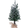 Decorative Tree with Snow Detail