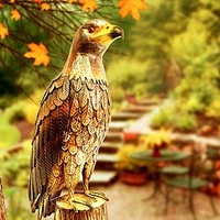 Deluxe Metal Hawk