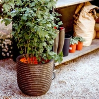 Deluxe Planter Row - Olive Green