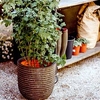 Deluxe Planter Row - Olive Green