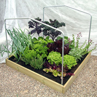 Deluxe Timber Raised Bed Kit