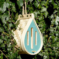 Dewdrop Butterfly,  Insect & Moth Habitat