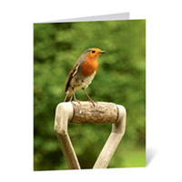 Dobies Gift Voucher