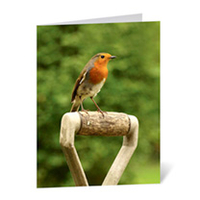 Dobies Gift Voucher