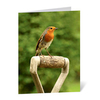 Dobies Gift Voucher