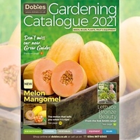 Dobies January Catalogue