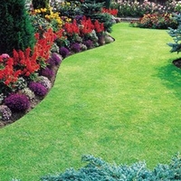 Dobies Premium Lawn Seed - Triple Pack