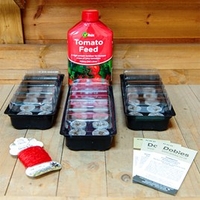 Dobies Tomato Growing Success Kit