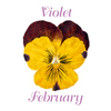 Earrings Clip-on - February